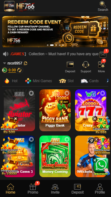 HF 786 Game