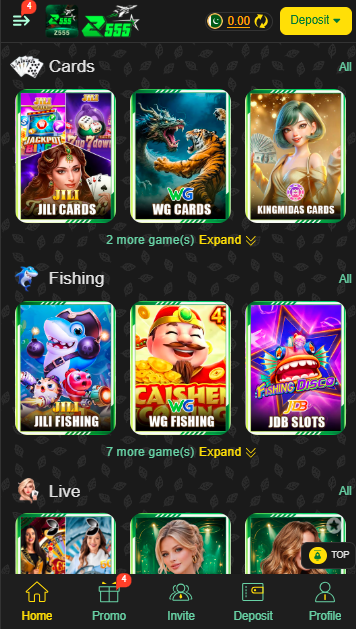 Z 555 Game